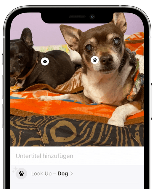 I Os Objektidentifizierung